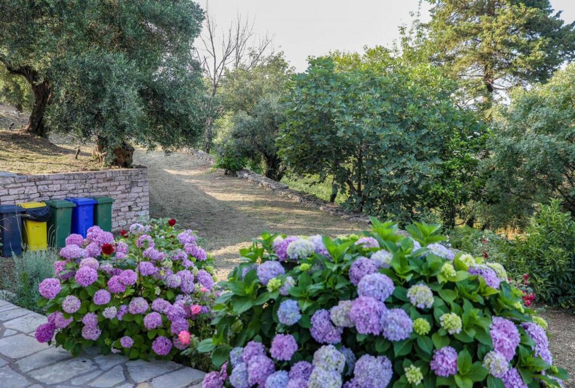 Sinies Stone Cottage - Ne Corfu Agnítsini Extérieur photo